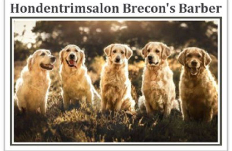 Hondentrimsalon Brecon's Barber
