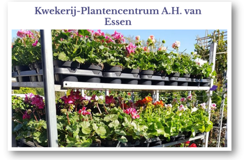 Plantencentrum A.H. van Essen